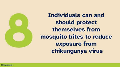 Thumbnail for #8 thing you should know about Chikungunya